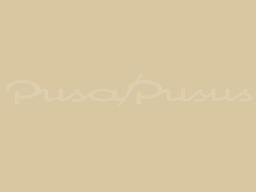 pusapusus童装专卖店设计