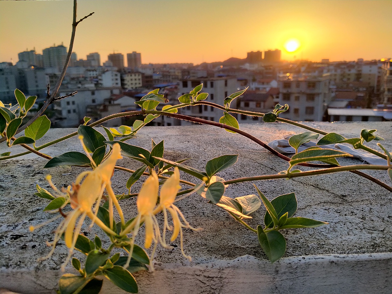 傍晚的露台（图ZMjA1NzA1NDI0） - 风光摄影 - 站酷设计师依子6原创素材 - 站酷ZCOOL