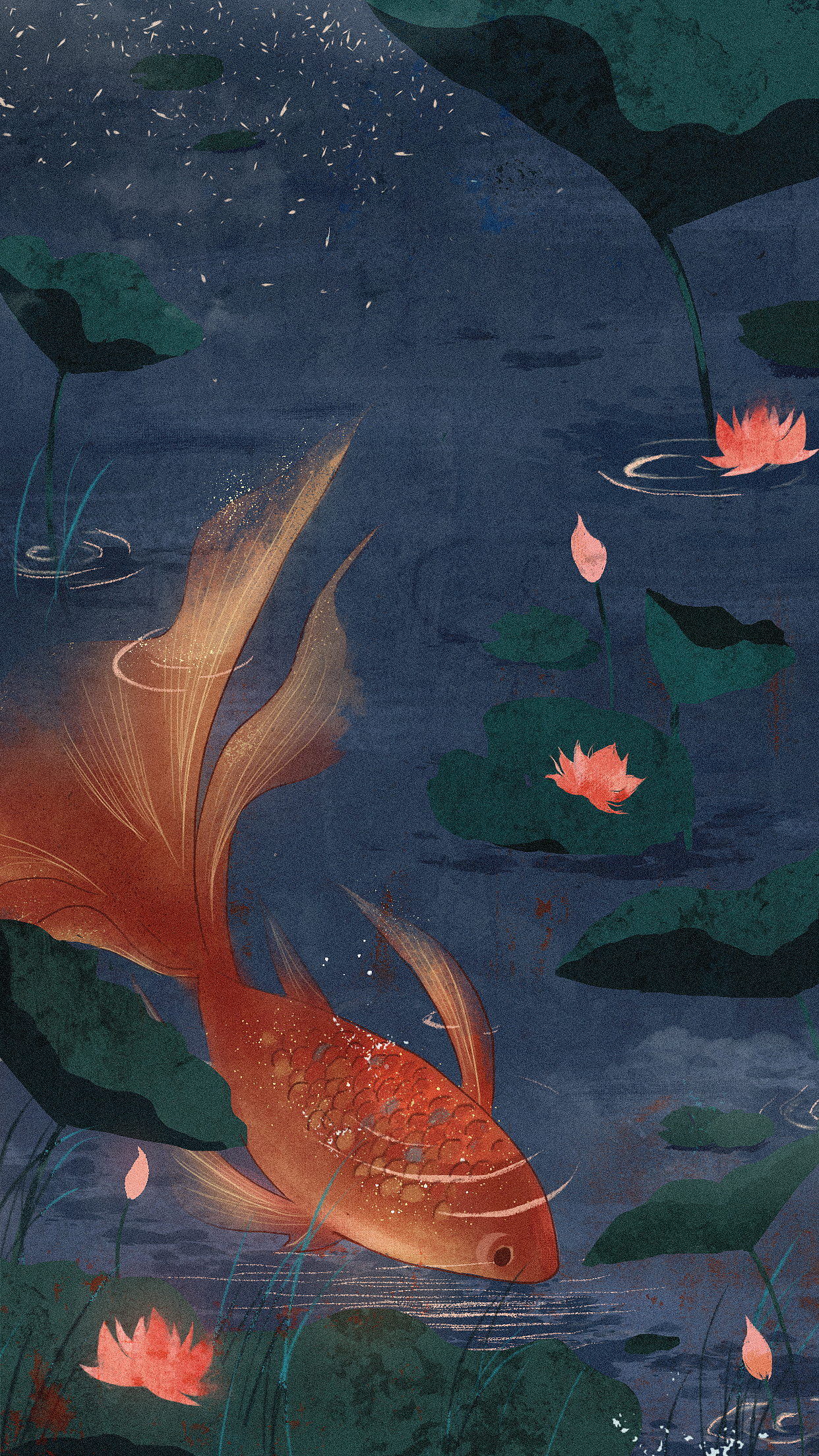 锦鲤|插画|商业插画|还没翻身的咸鱼_原创作品-站酷zcool