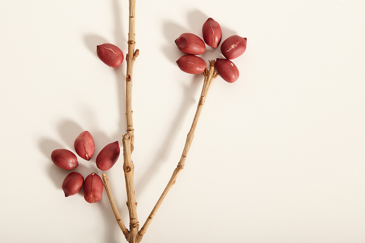 静物摄影｜给花生拍个写真商业拍摄创作全过程