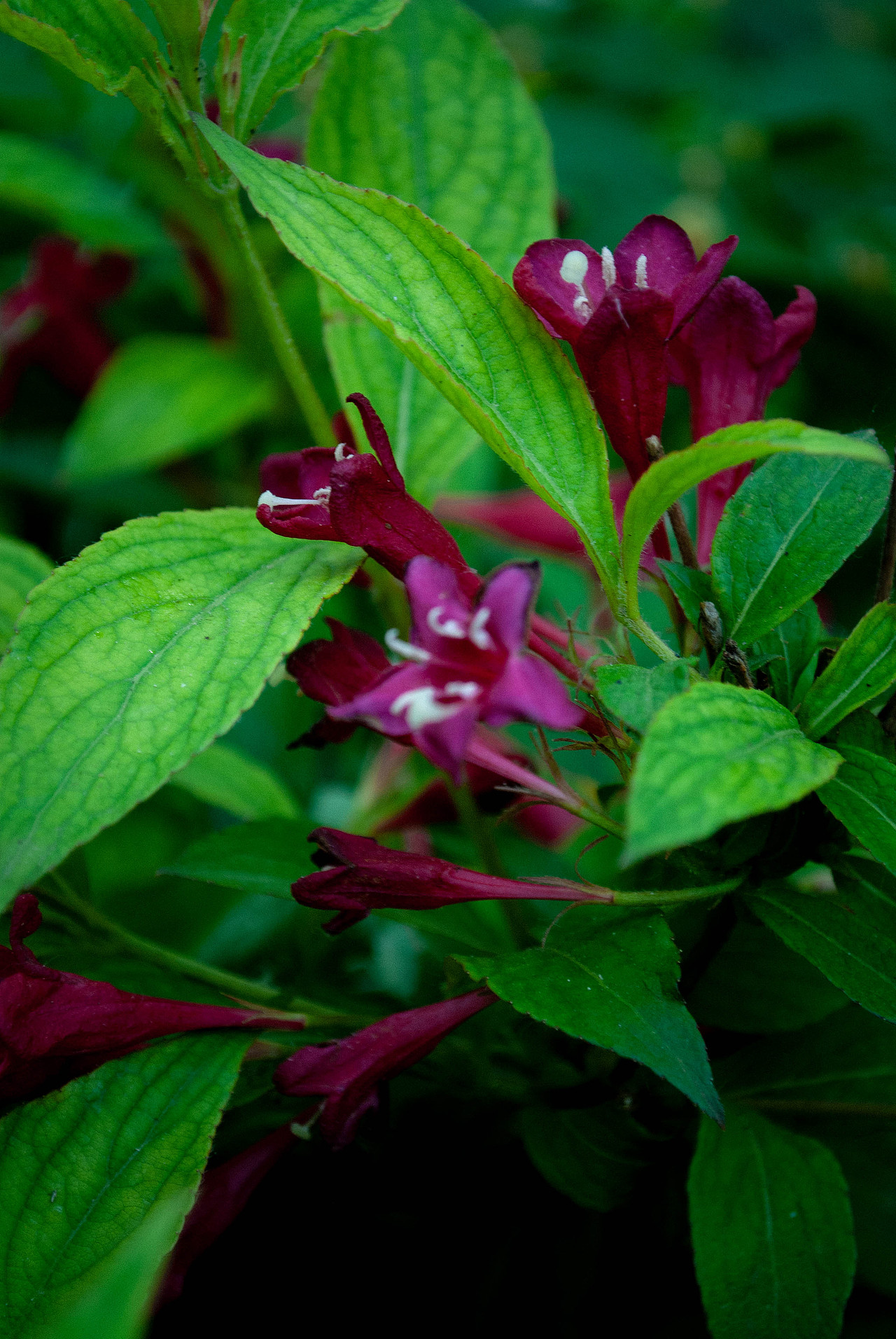 平平无奇一个自学摄影小白的爱好捏