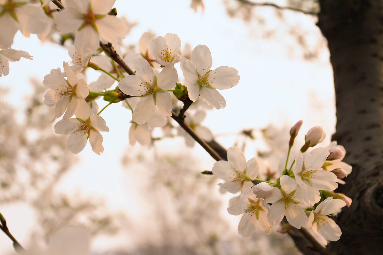 随拍（图ZMTUwNTU5Njg=） - 风光摄影 - 站酷设计师万能的小裴原创素材 - 站酷ZCOOL