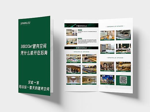 深圳芝麻健身宣传单页设计