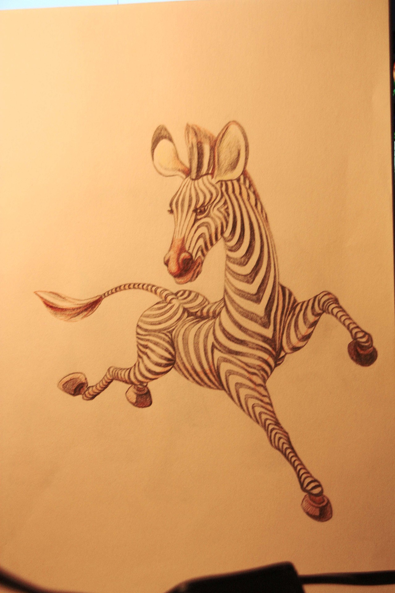 用紙筆體現(xiàn)真實(shí)的動(dòng)物（圖ZNDEyNjkwMA==） - 創(chuàng)作習(xí)作 - 站酷設(shè)計(jì)師劉越不愛(ài)用電腦原創(chuàng)素材 - 站酷ZCOOL