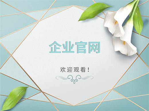 企业官网GUI展示