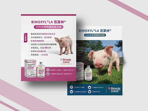 海报 | 易拉宝 | 宠物用品 | 宣传物料