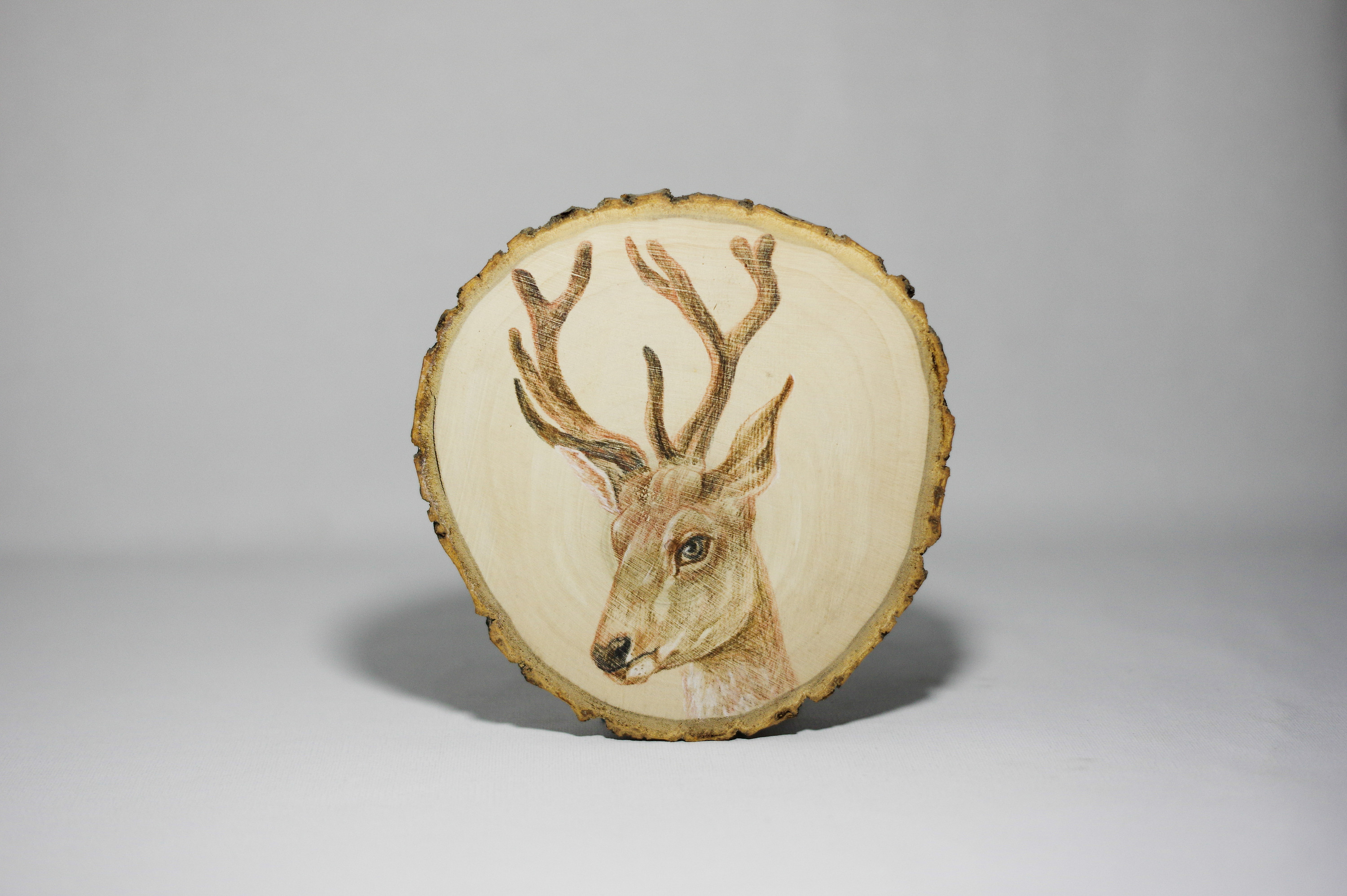 彩铅 木头画|插画|艺术插画|微儿插画 - 原创作品 - 站酷 (zcool)