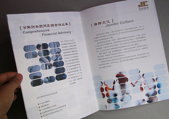 公司画册设计、咨询公司宣传册设计图片、上海咨询企业宣传册设计、济邦投资公司画册设计作品赏析