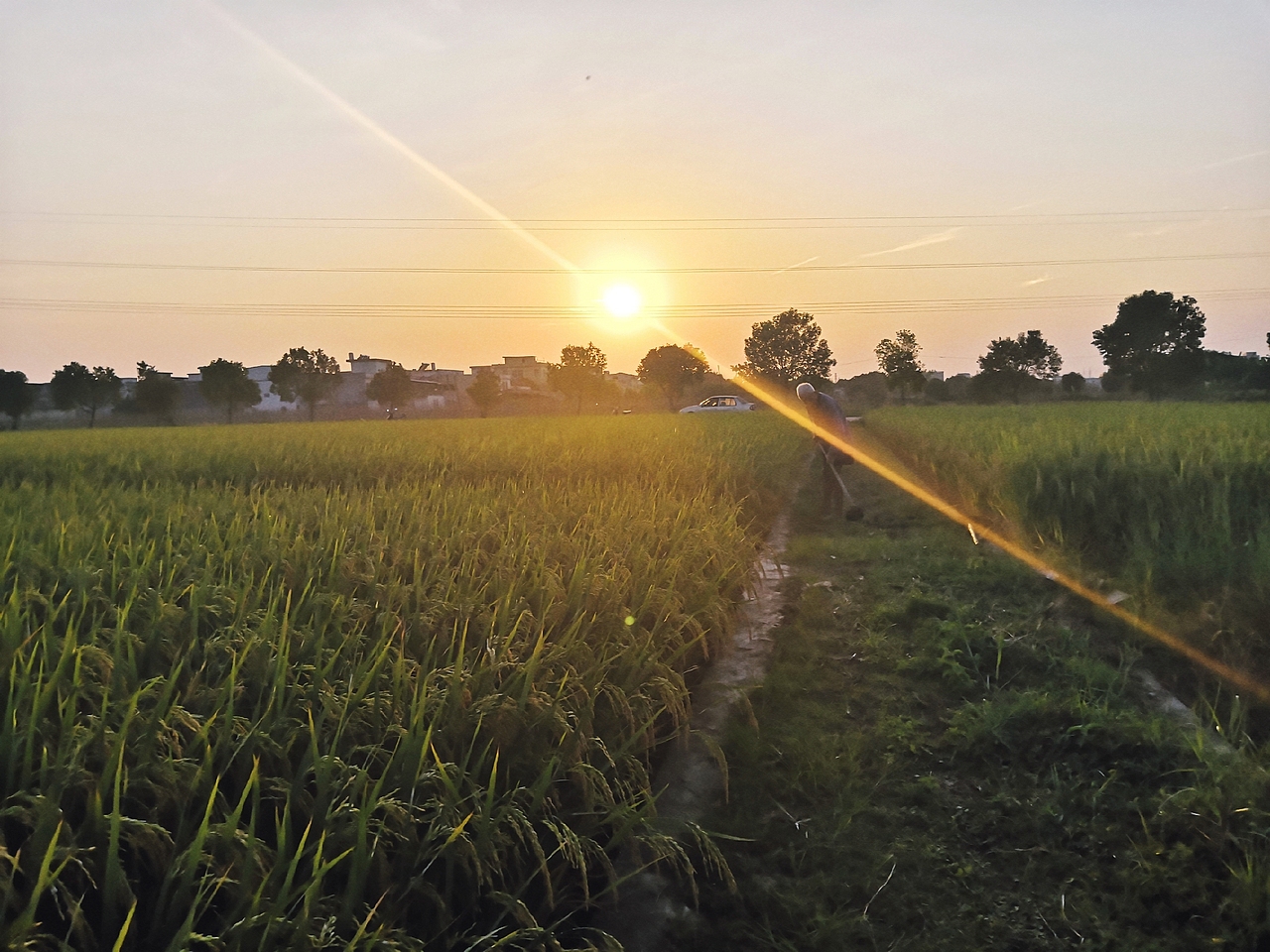 秋??（圖ZMTgzMjc2ODQ4） - 人像攝影 - 站酷設計師敏純純原創(chuàng)素材 - 站酷ZCOOL