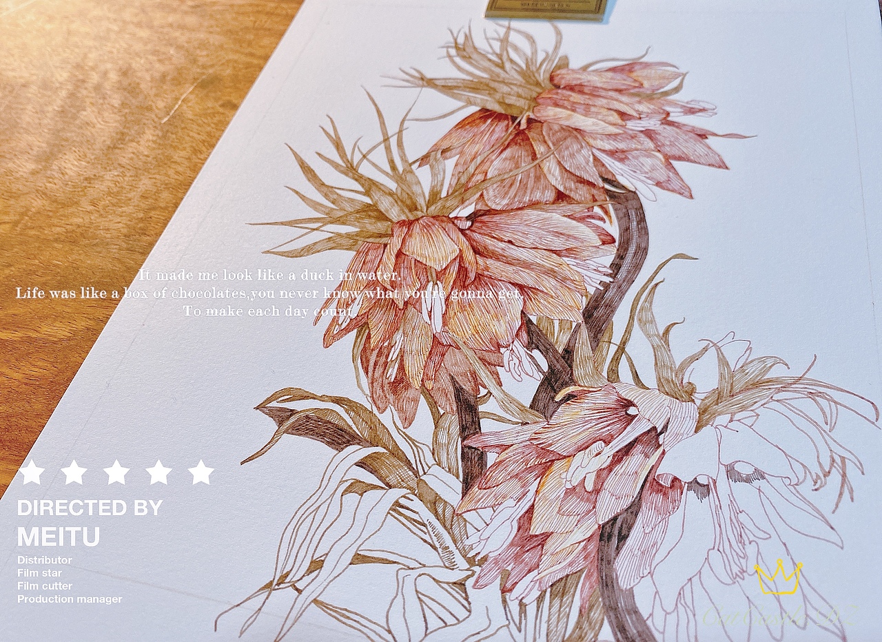 神奇的皇冠贝母（蘸水笔｜针管笔）（图ZMjg1NTYxMTE2） - 艺术插画 - 站酷设计师CatCastleDZ原创素材 - 站酷ZCOOL