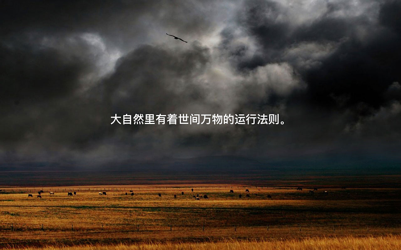 Raputa花园市集企业品牌形象（图ZMjM3MzM1MjY0） - 品牌 - 站酷设计师aime_chan原创素材 - 站酷ZCOOL