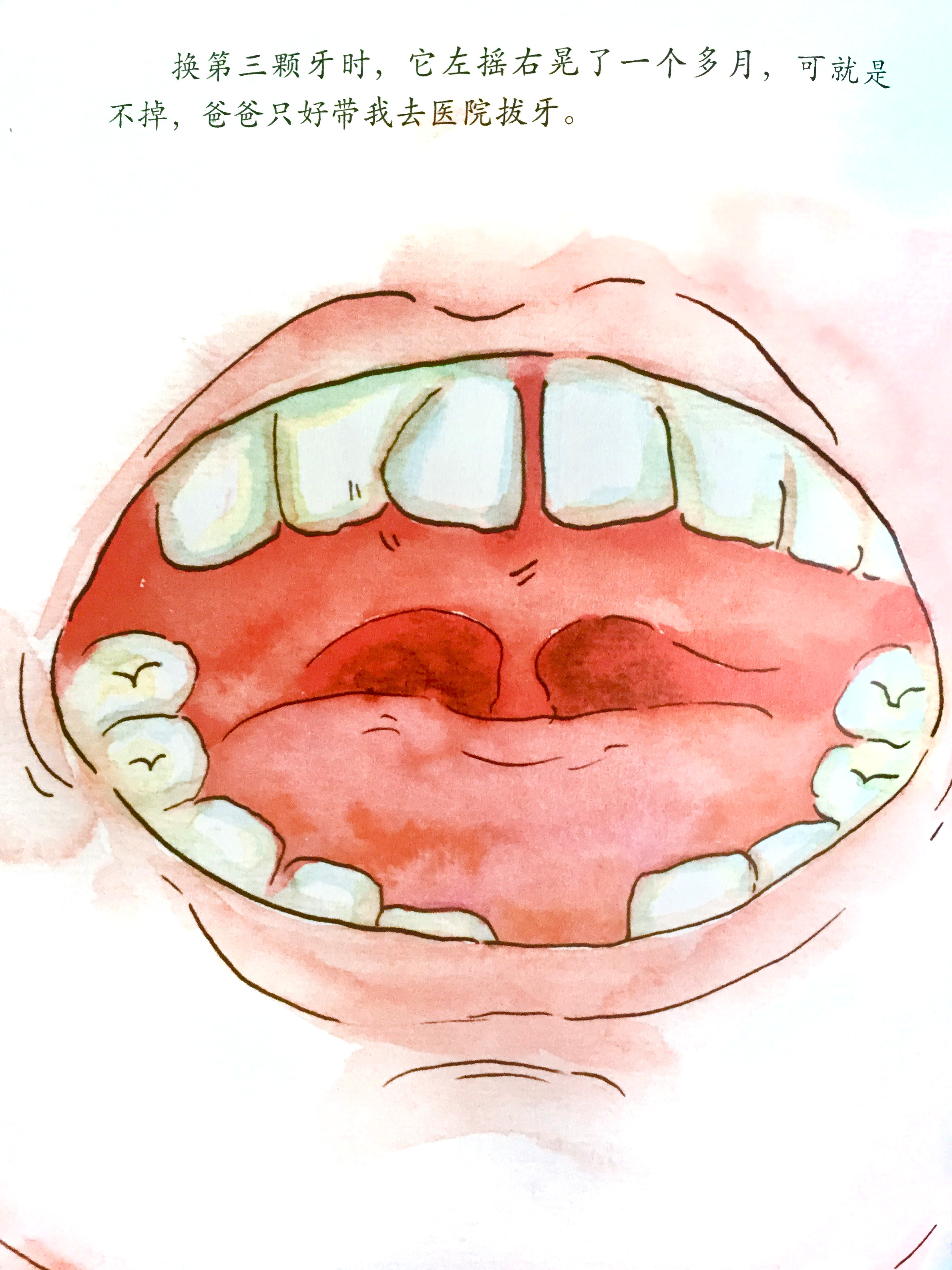 绘本《我换牙了》