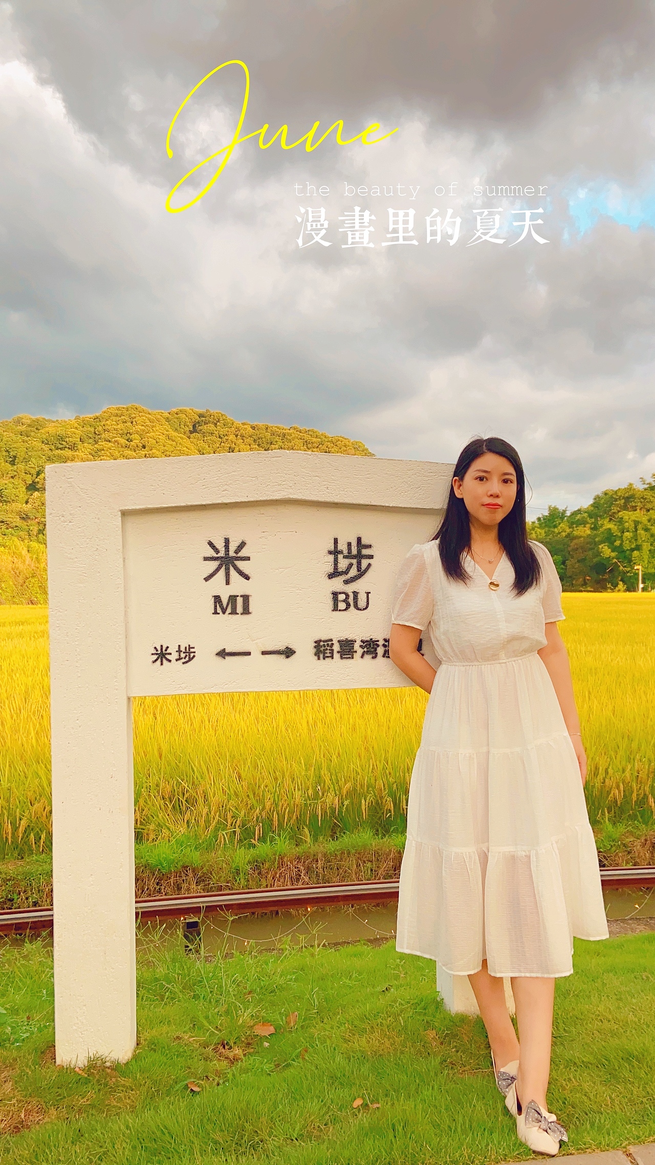 米埗稻田里的夏天