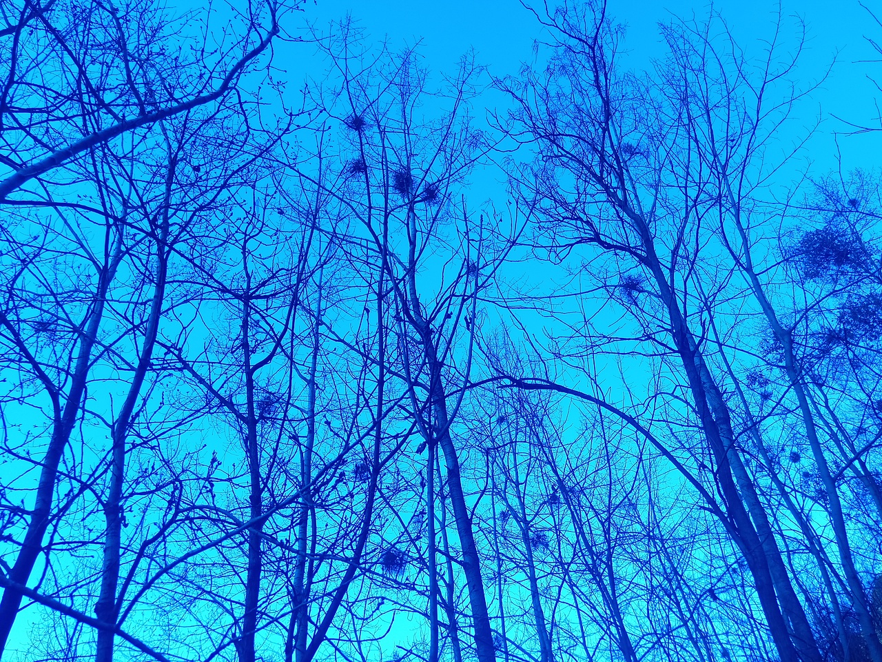 现在这个样的世界已经很少有这样的风景了