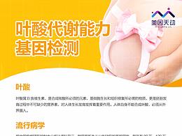 美因