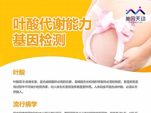 最近一些单页（叶酸代谢能力）