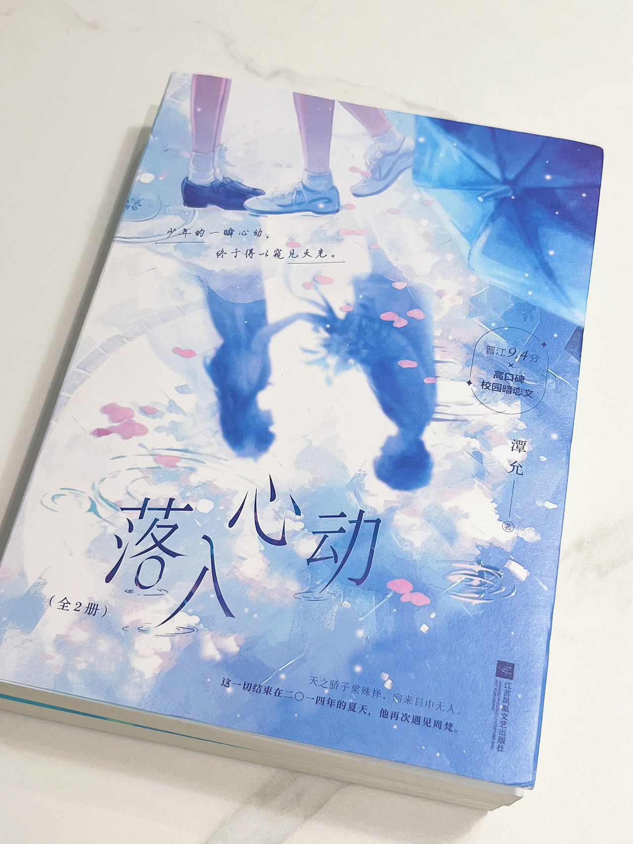 为小说《落入心动》绘制的封面