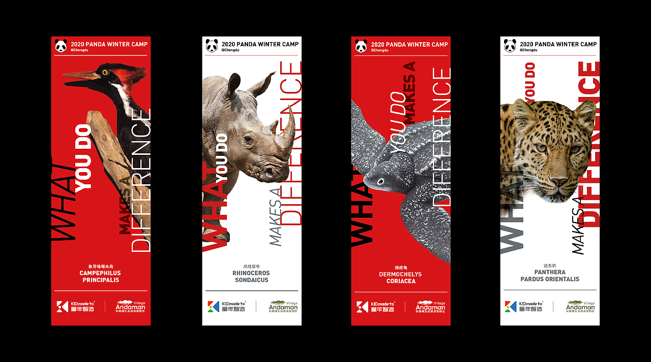 熊猫保护志愿者PBL国际营（图ZMjU1MTg4MTA4） - 品牌 - 站酷设计师倒数54321原创素材 - 站酷ZCOOL