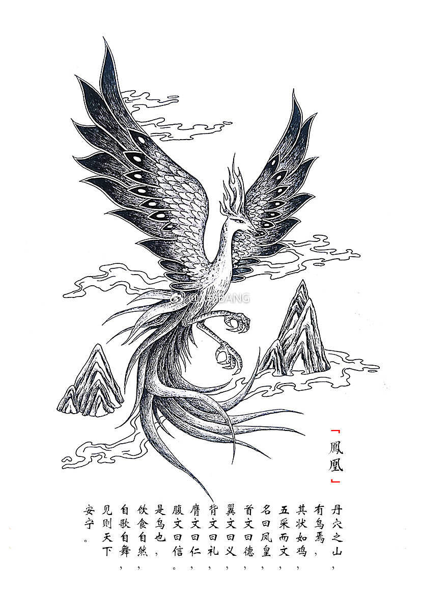 黑白山海异兽第一辑|插画|概念设定|邦_bang_原创作品-站酷zcool