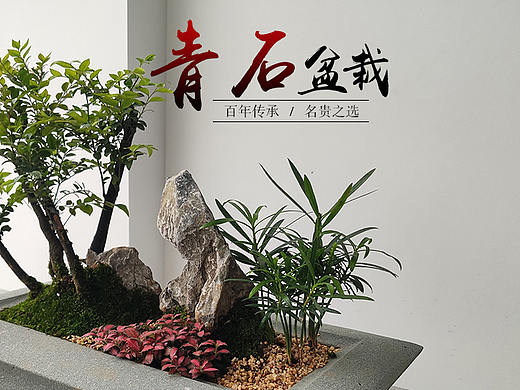 青石盆栽/阿里产品宝贝详情页设计