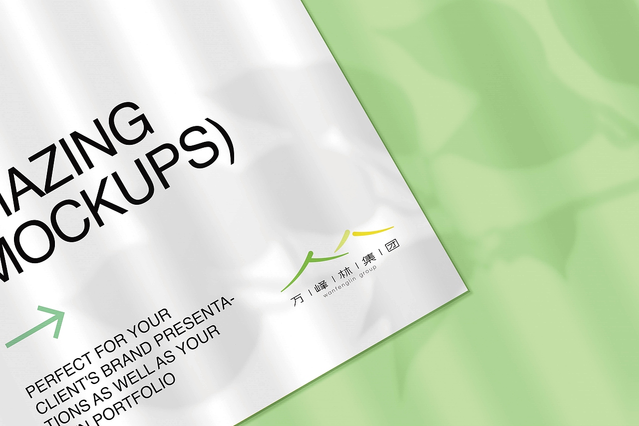 万峰林集团VI设计