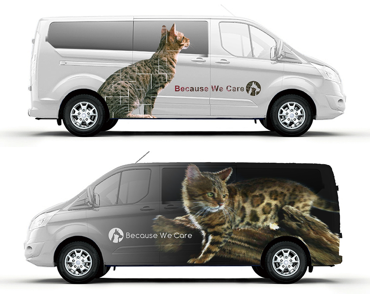 新界动物医疗中心 \ PPG车身广告 \ 测试