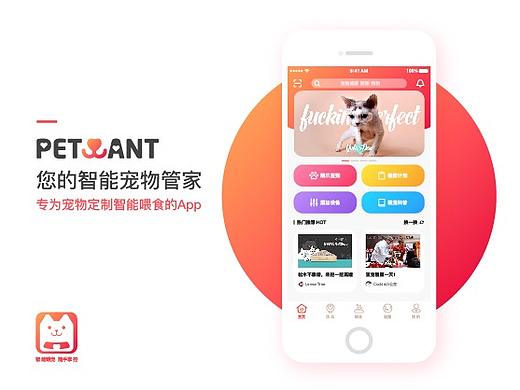 宠物智能喂食器App概念设计
