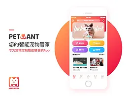 宠物经济