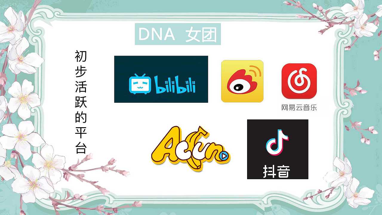 期末作业——DNA女团发展前景分析