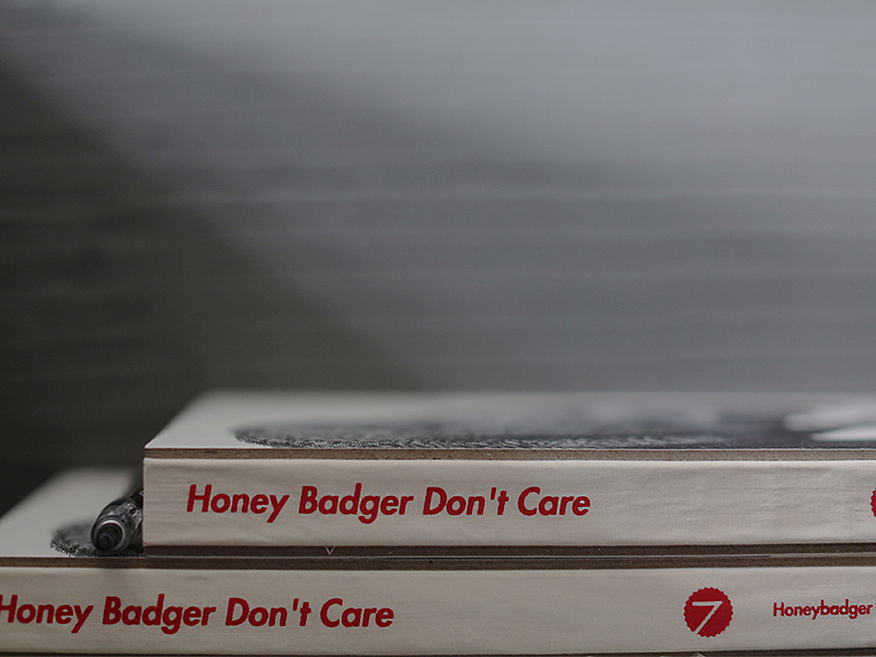 《蜜獾》—傅淳强硬笔画系列笔记本