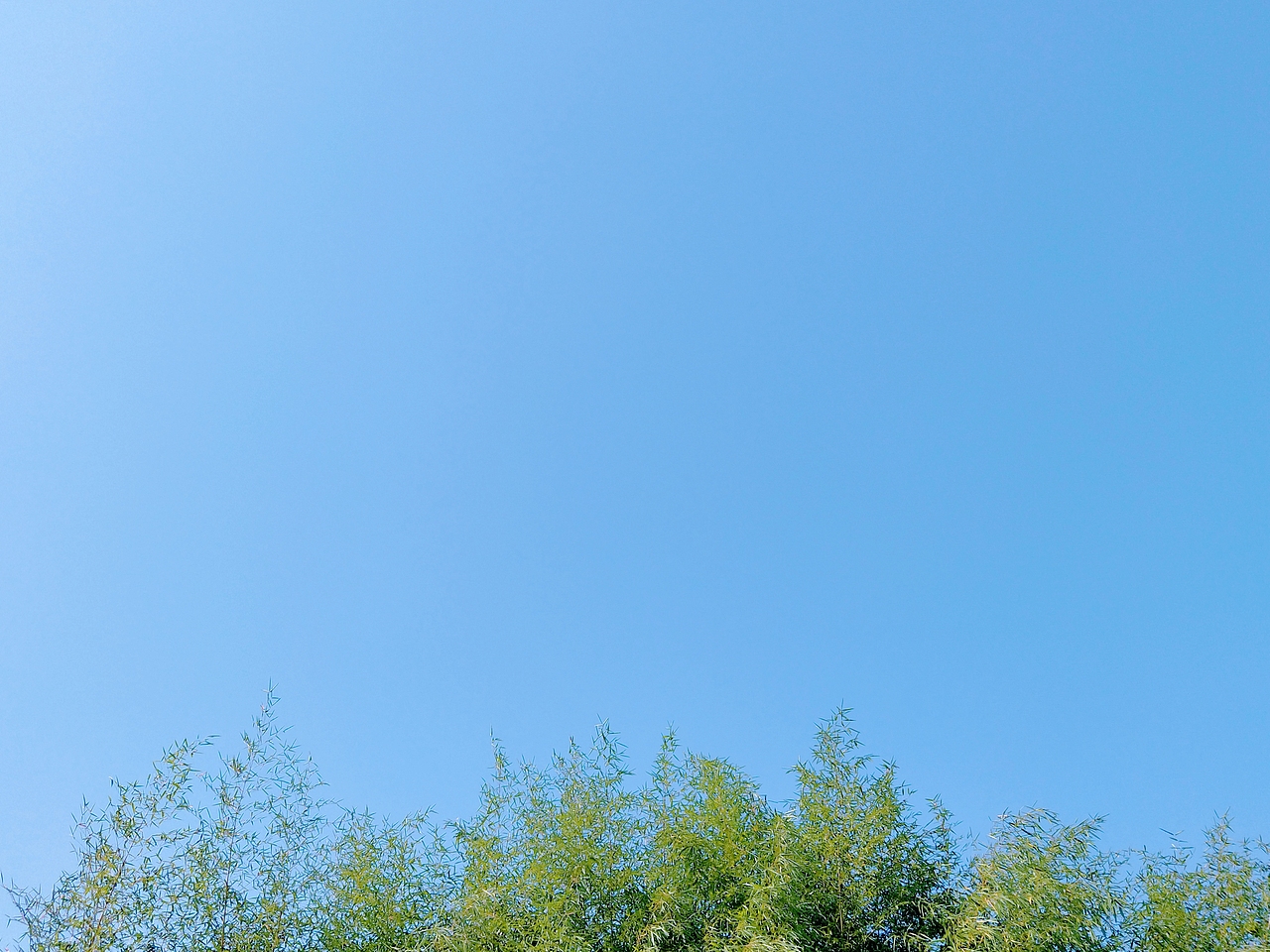 青色（图ZMTkyNzI0MDI0） - 人文/纪实摄影 - 站酷设计师可以的哦原创素材 - 站酷ZCOOL