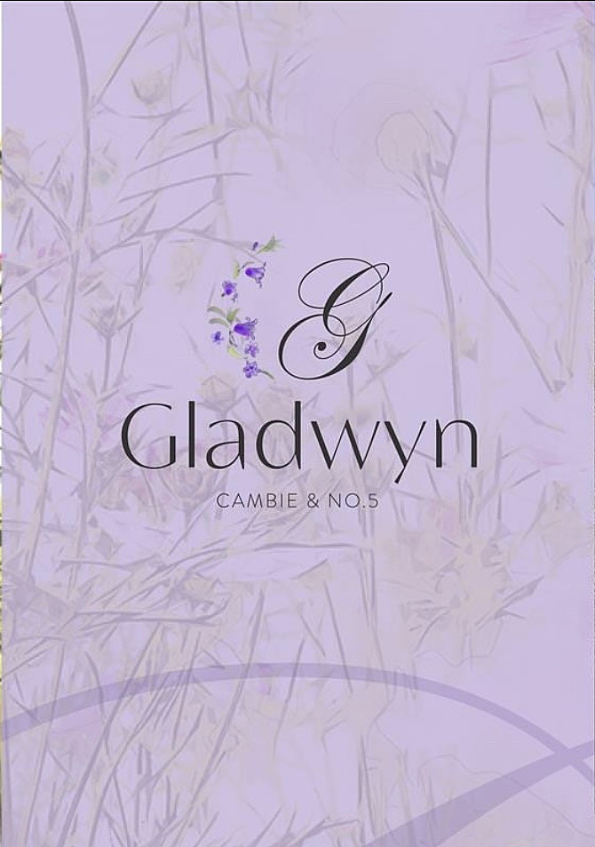 品牌形象设计|联排别墅LOGO 楼书设计 VI设计-GLADWYN