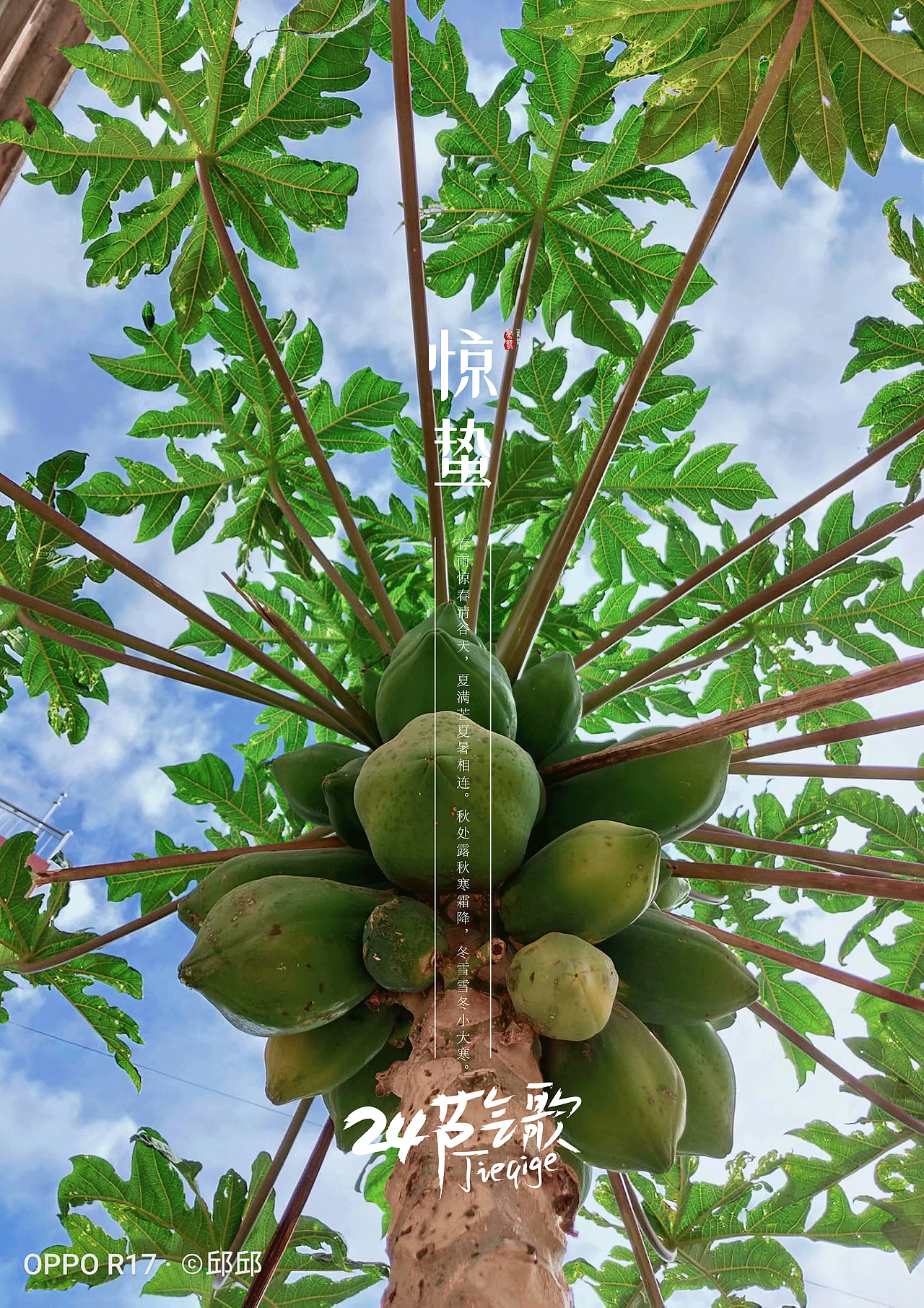 24节气之镜头下（图ZMjYzNTM3MzUy） - 人文/纪实摄影 - 站酷设计师杞子呆呆原创素材 - 站酷ZCOOL