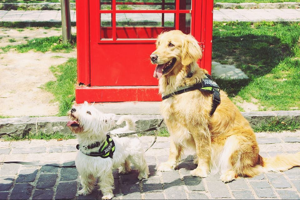 「觅春/春觅」（图ZMjY4MDI3Njg=） - 环境/建筑摄影 - 站酷设计师Lepzig原创素材 - 站酷ZCOOL