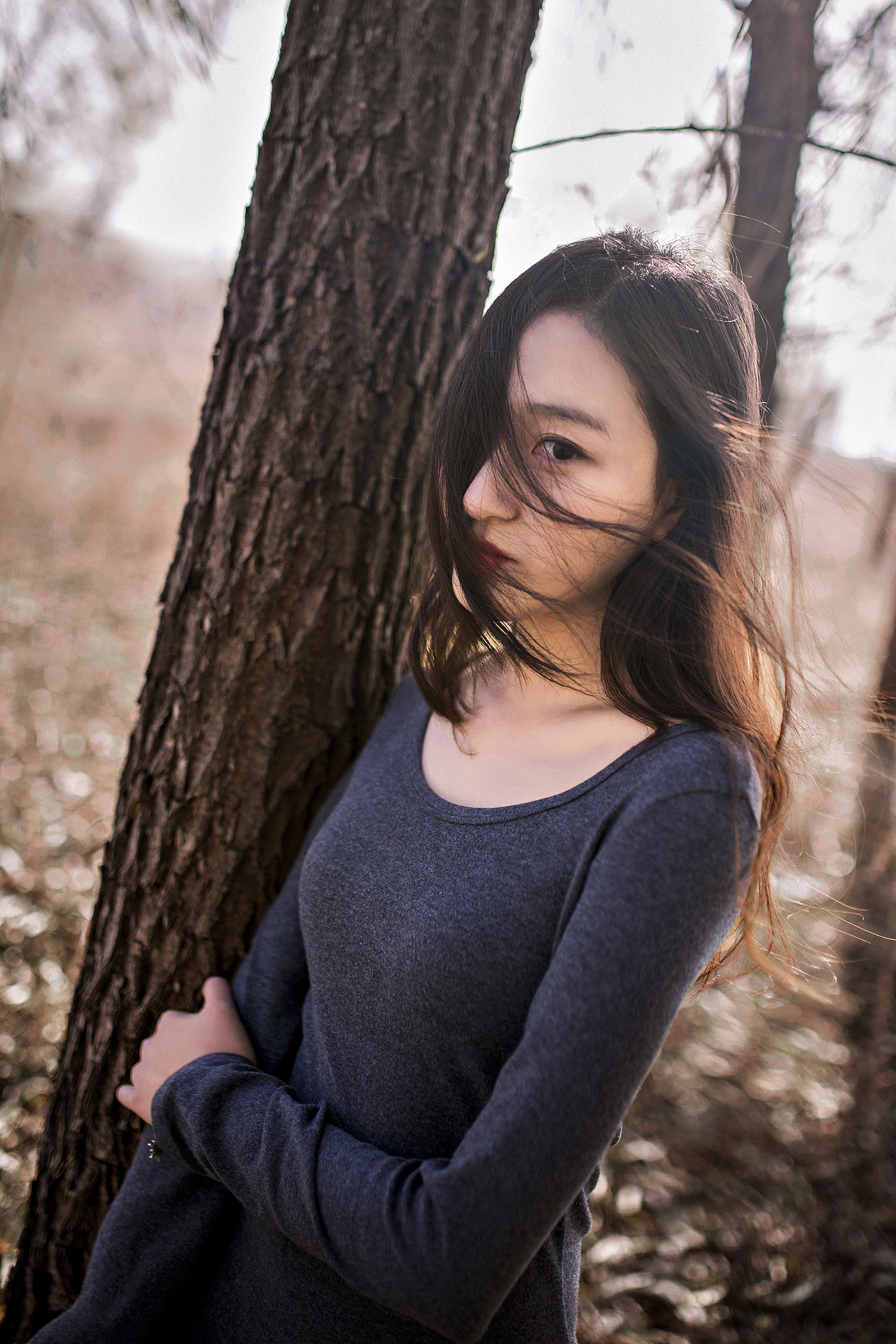 沉沦在最后的风