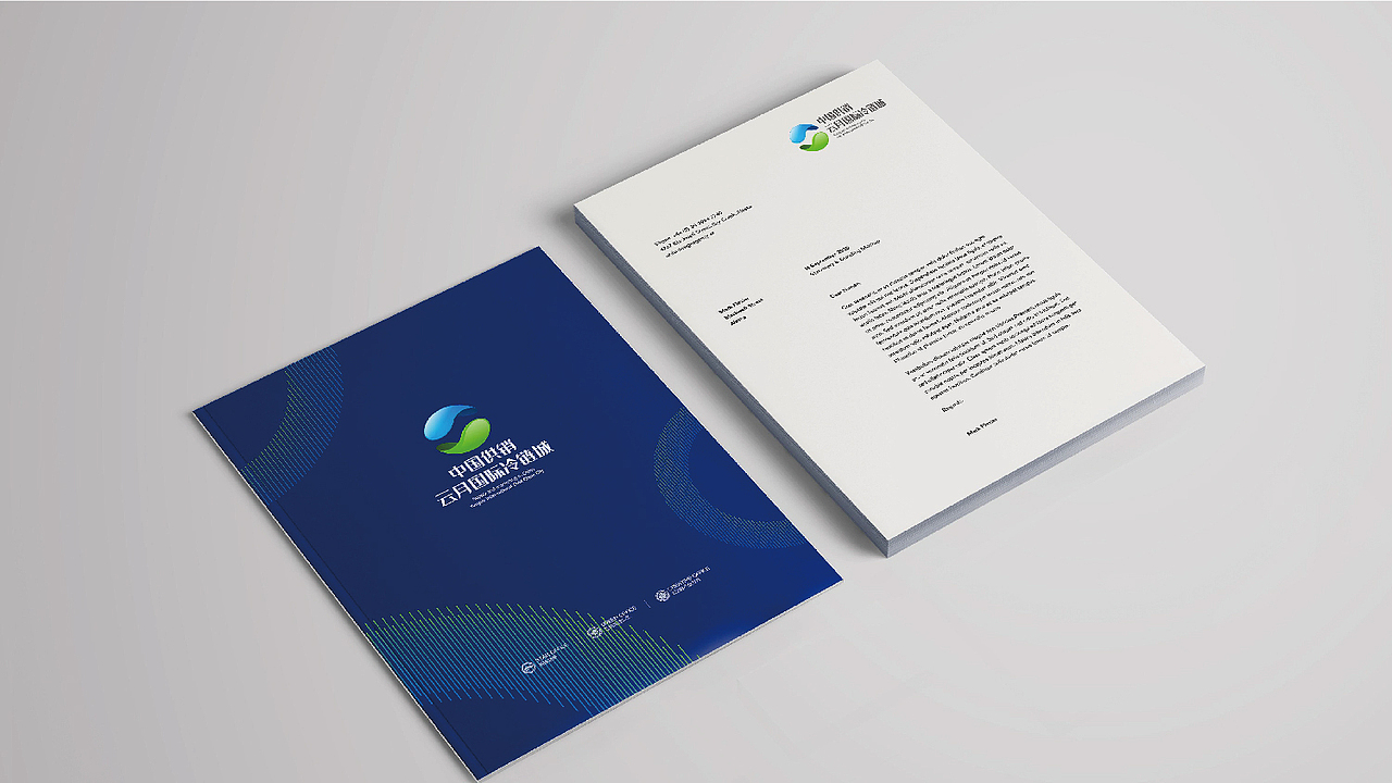 商业物流VI设计 by 道禾智业