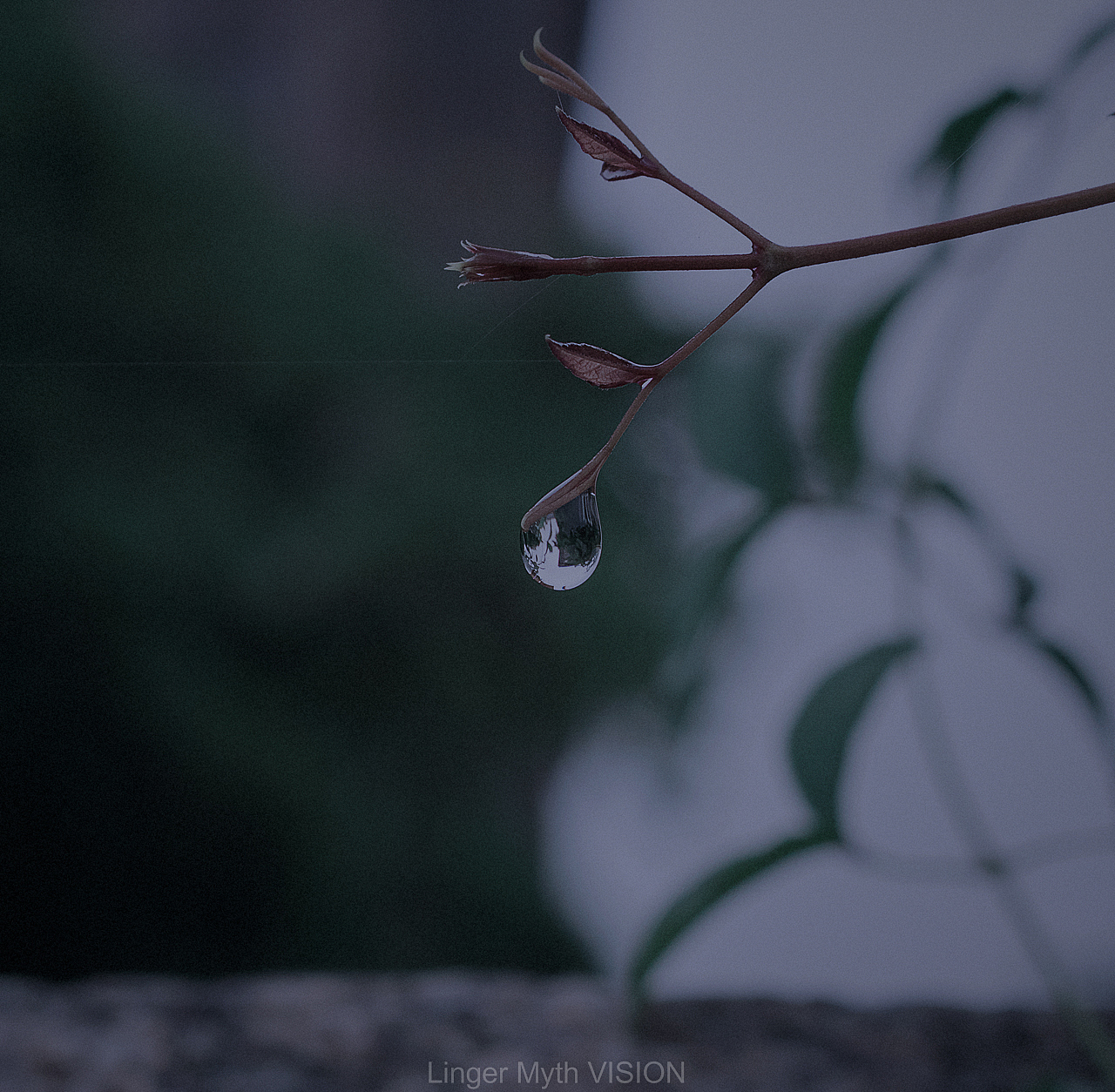 雨天小时光（图ZMTEzMzc5Mjgw） - 产品摄影 - 站酷设计师流光糜苏原创素材 - 站酷ZCOOL