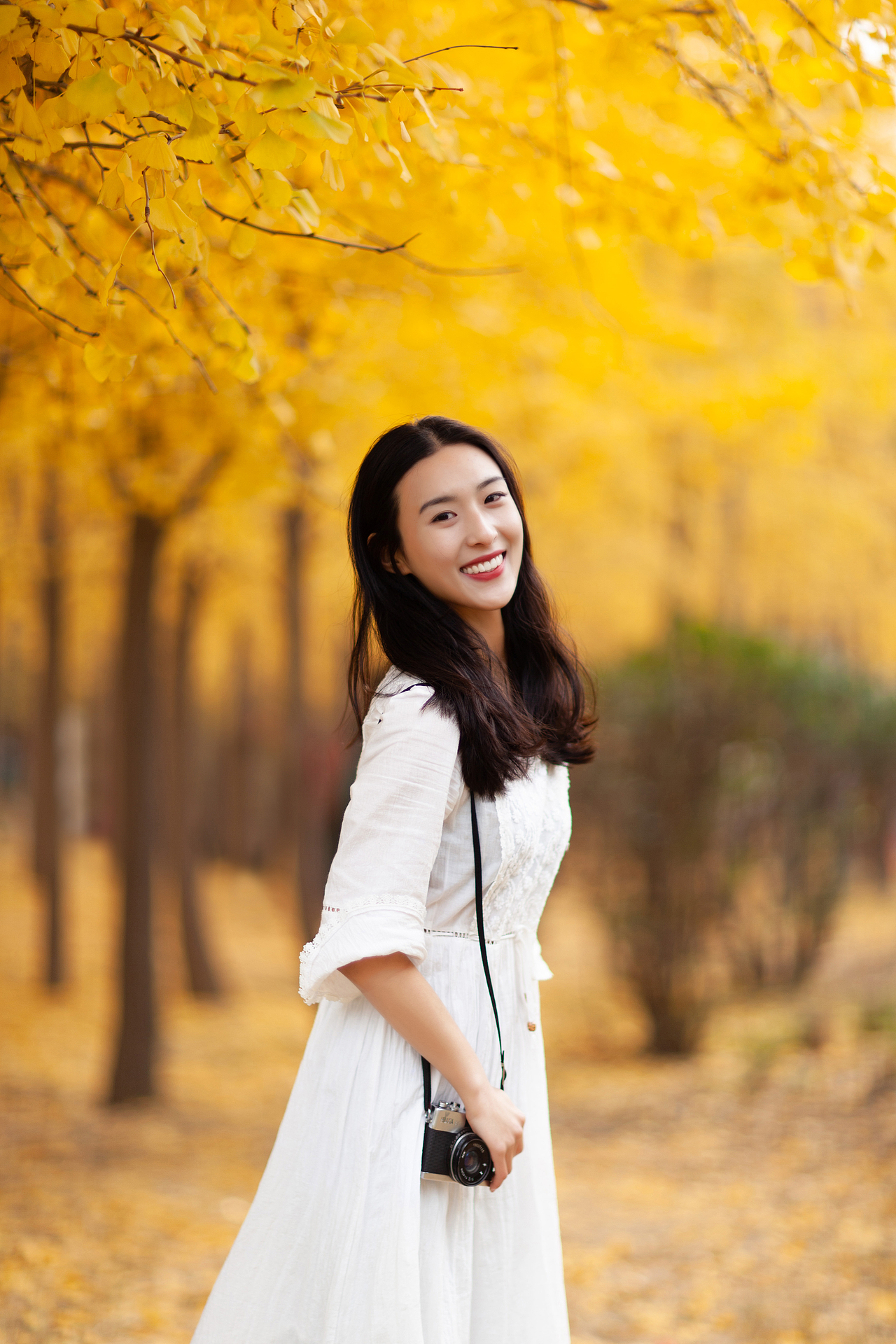 经贸的银杏（图ZMTk0NTI3NzA0） - 人像摄影 - 站酷设计师摄影师张海洋原创素材 - 站酷ZCOOL