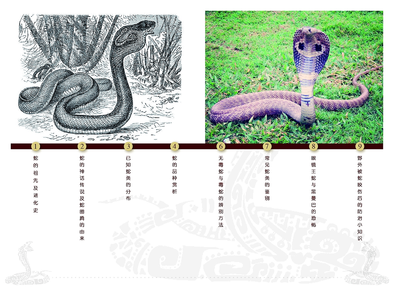 自我发展（图ZNzI1MzUxMDg=） - 海报 - 站酷设计师Leedissa原创素材 - 站酷ZCOOL