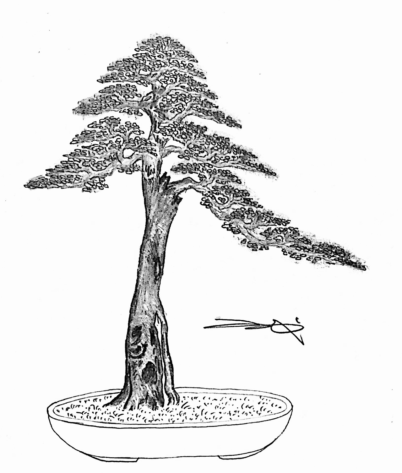 吕绍武手绘盆景设计效果图（图ZMTY4MDkwOTAw） - 绘画 - 站酷设计师慧武原创素材 - 站酷ZCOOL