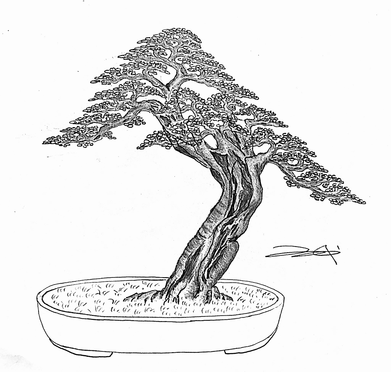 吕绍武手绘盆景设计效果图（图ZMTY4MDkwNjY4） - 绘画 - 站酷设计师慧武原创素材 - 站酷ZCOOL