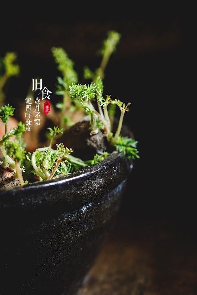 旧食｜春色从来关不住（图ZMjQ2OTA1Mzg4） - 美食摄影 - 站酷设计师旧食原创素材 - 站酷ZCOOL