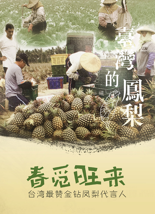 台湾凤梨（图ZMTE5NTcwMTA0） - 品牌 - 站酷设计师285874857原创素材 - 站酷ZCOOL