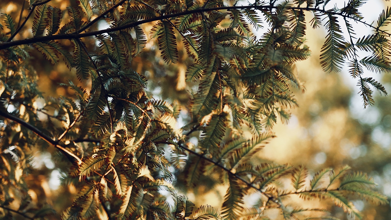 秋天也是生机勃勃的季节