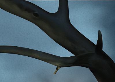 阿芙家的精油海报详细手绘制作步骤（图ZNjg4OTA2Njg=） - 海报 - 站酷设计师大鱼N原创素材 - 站酷ZCOOL