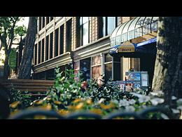 【Unreal】WB-Street