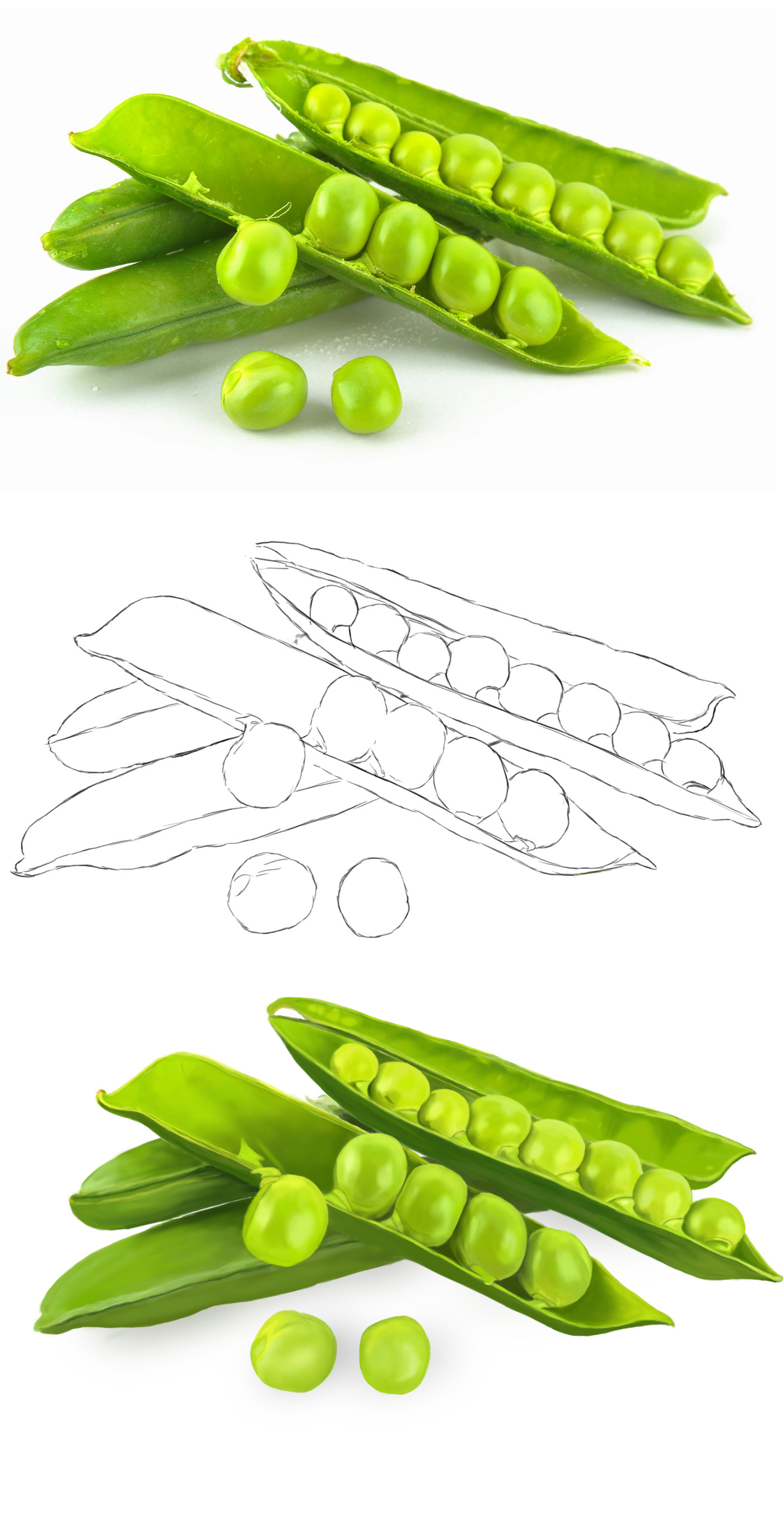 豌豆|插画|创作习作|微笑麦子 - 原创作品 - 站酷 (zcool)