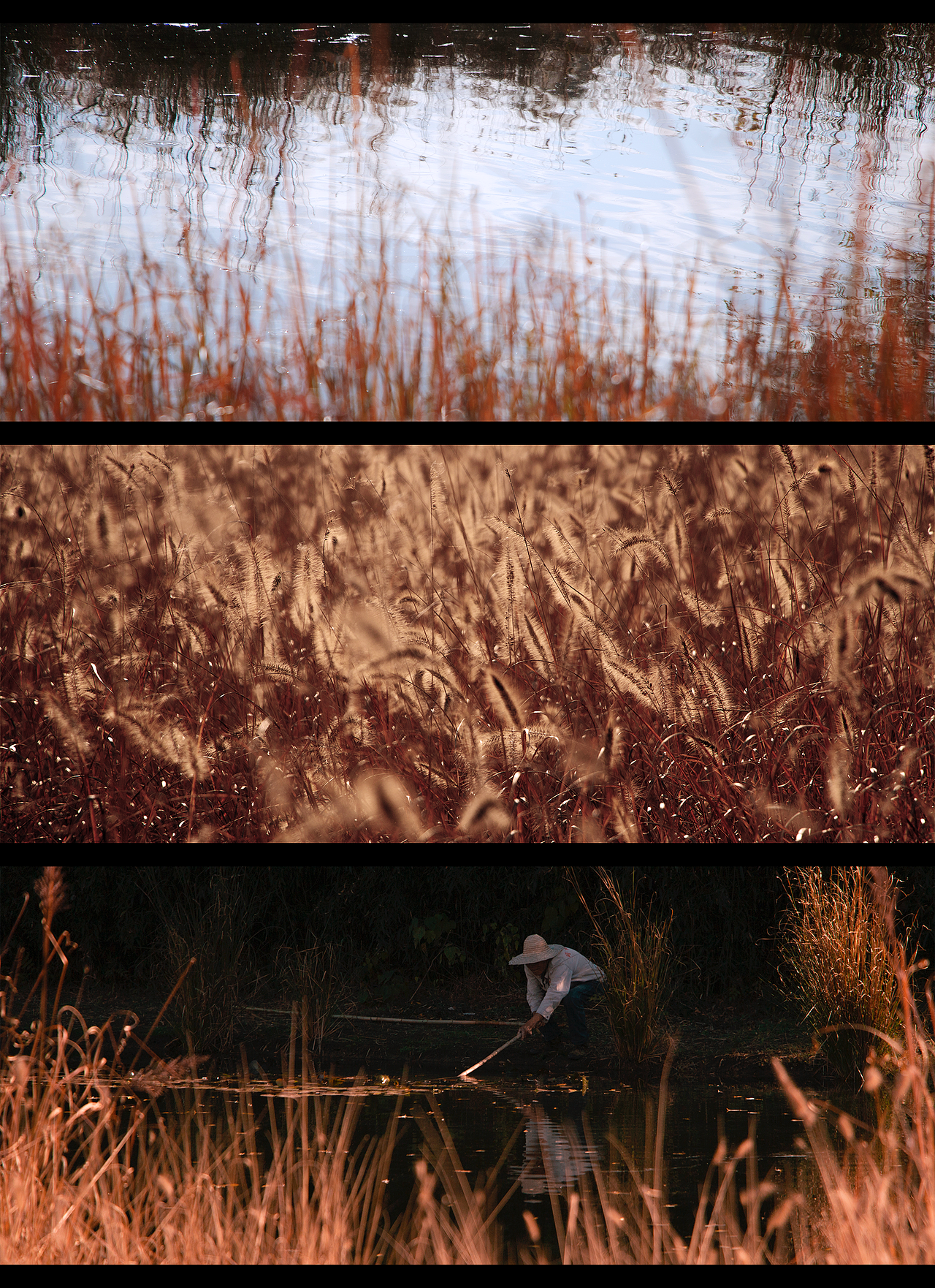 藏在水里的星星🌟（图ZMzc5NDY5NjA4） - 风光摄影 - 站酷设计师StephenHao30原创素材 - 站酷ZCOOL