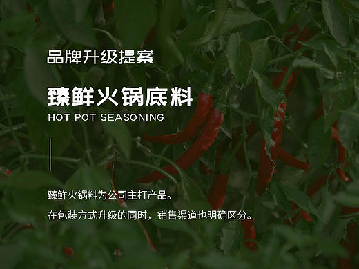 臻鲜火锅底料品牌整理升级