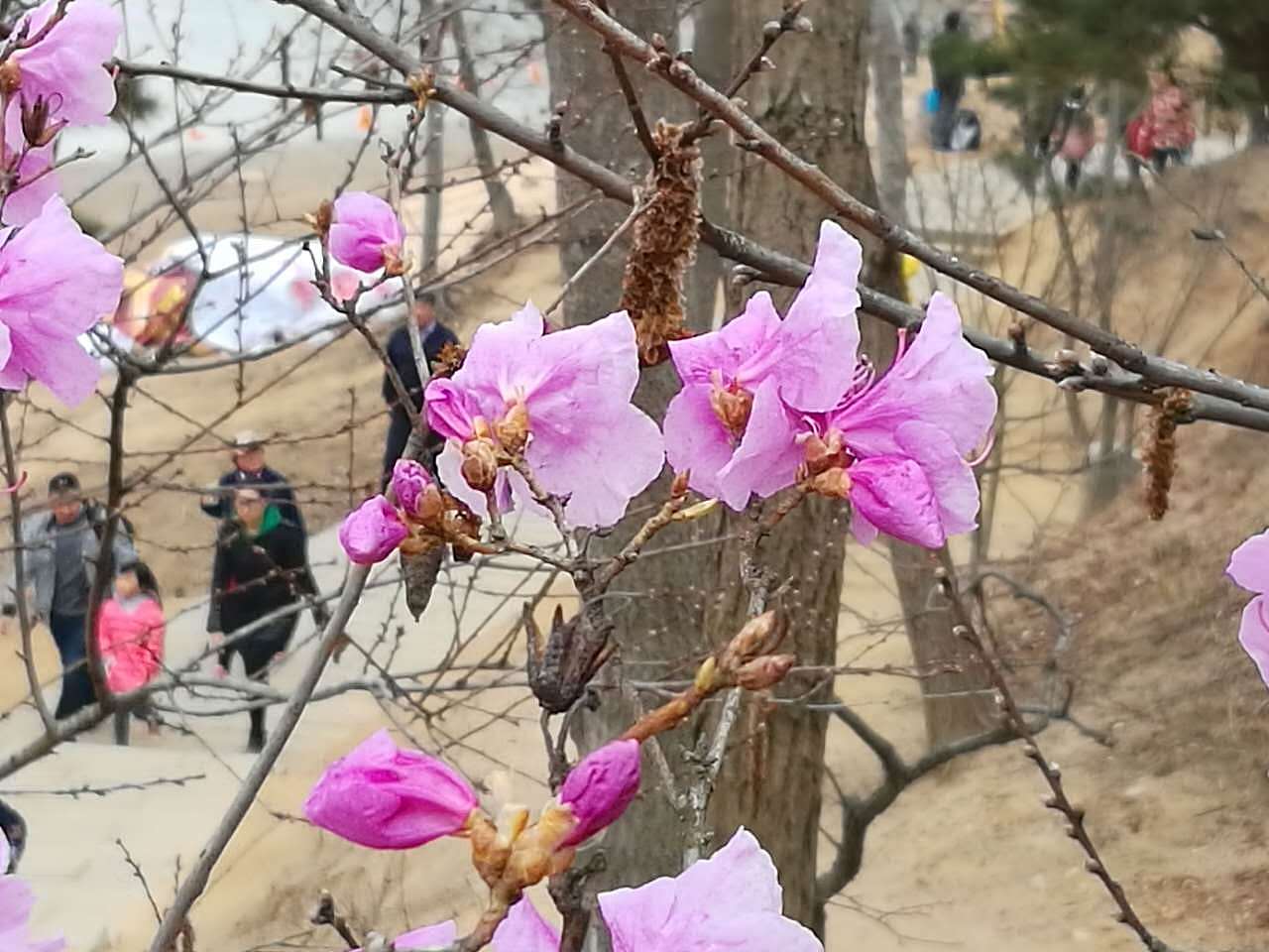 炎夏之春祭的回忆-珠山秀谷（图ZODQ4OTUxODQ=） - 人像摄影 - 站酷设计师李钰剑原创素材 - 站酷ZCOOL